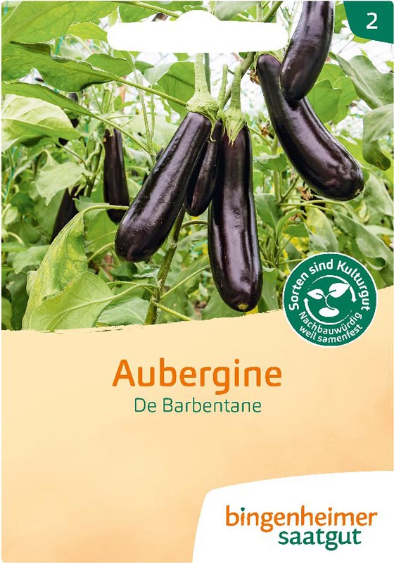Aubergine - De Barbentane