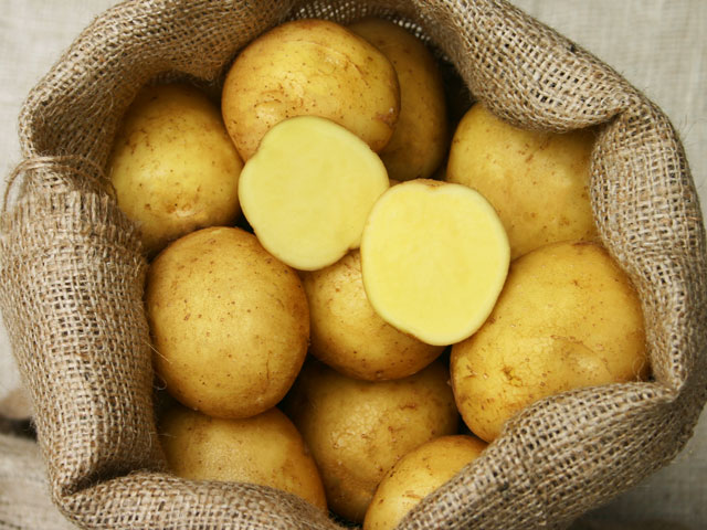 Adretta, Bio-Kartoffel