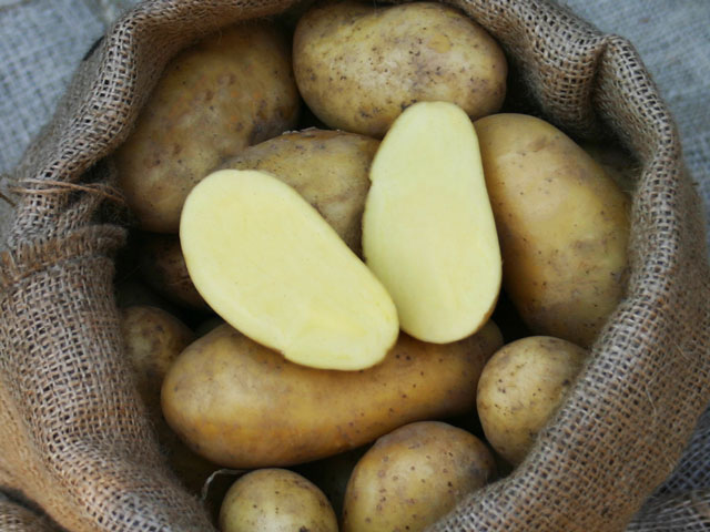 Annabelle, Bio-Kartoffel