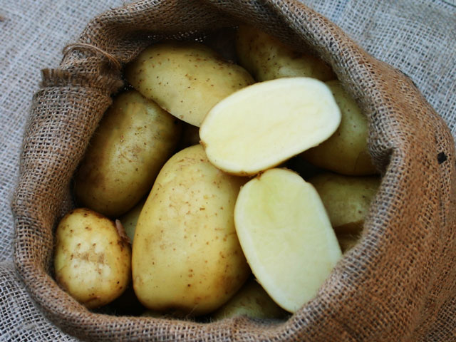 Bintje, Bio-Kartoffel