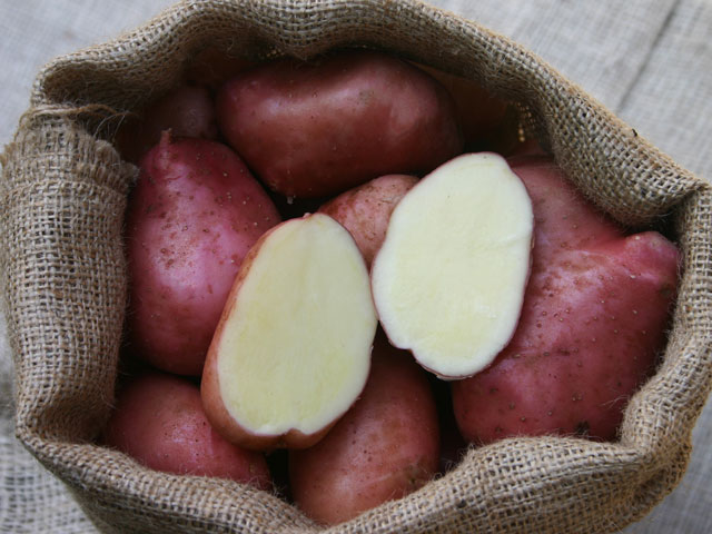 Desiree, Bio-Kartoffel