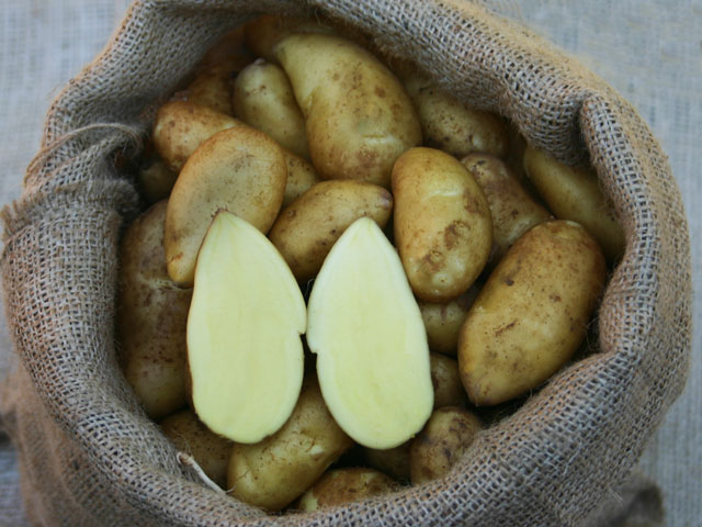 Mandelkartoffel, Bio-Kartoffel