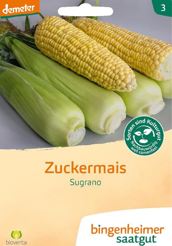 Zuckermais - Sugrano
