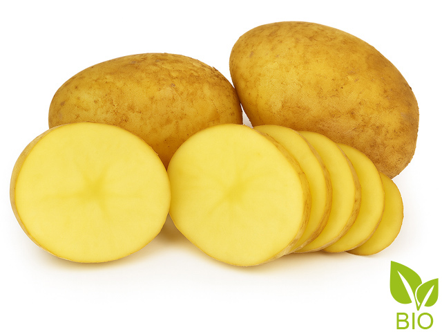 Agria Bio-Pflanzkartoffel