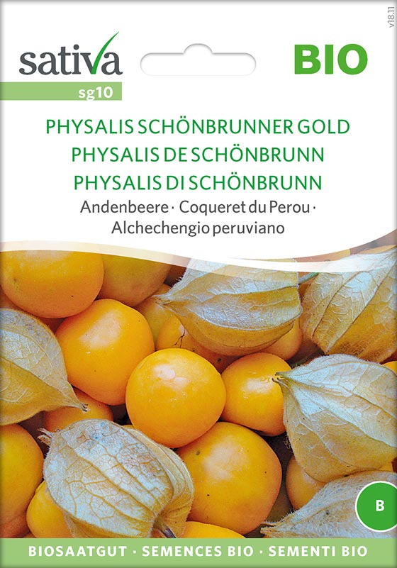 Physalis - Schönbrunner Gold