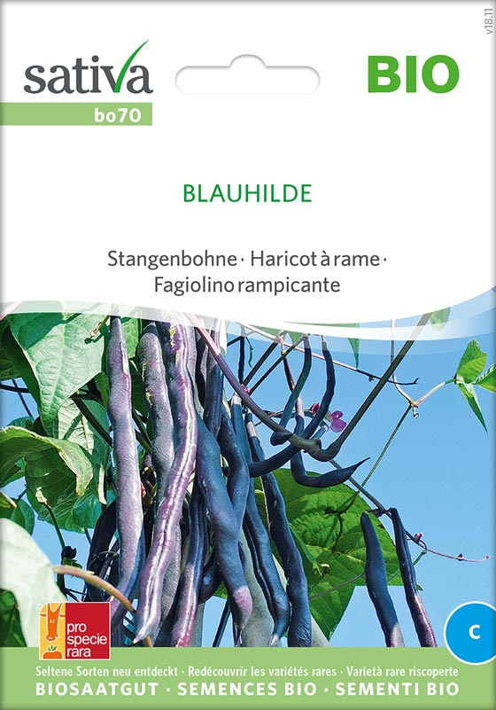 Bio Saatgut Stangenbohne Blauhilde
